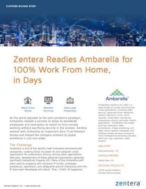 Zentera Ambarella Success Story