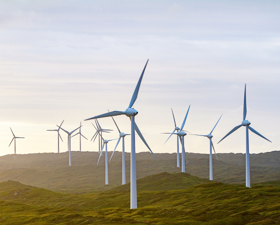 Windmills_2 Windmills_2