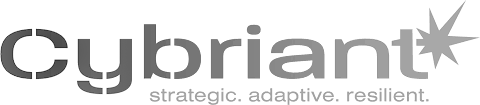 cybriant-2