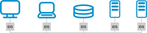 Image showing an IDS in front of each workload