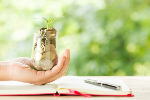 woman-hand-holding-plant-growing-from-coins-bottle