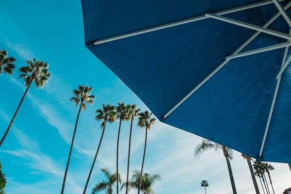 low-angle-blue-umbrella-with-tall-palm-trees
